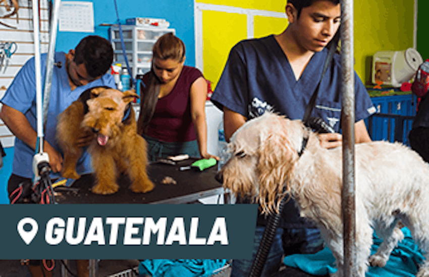 Internships in Guatemala