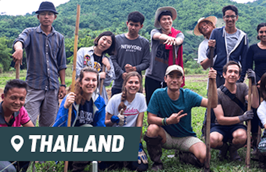 Volunteer in Thailand