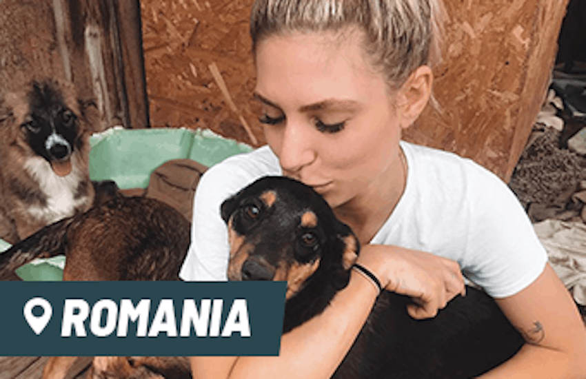 Volunteer in Romania