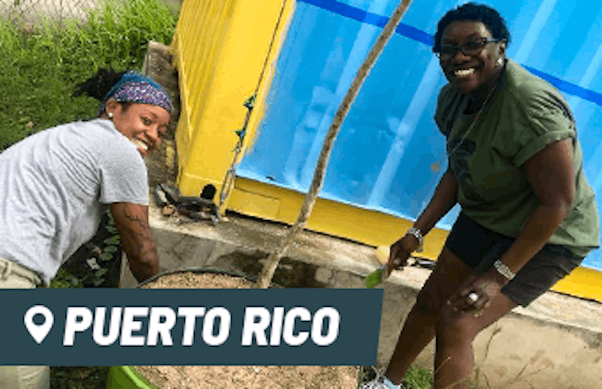 Volunteer in Puerto Rico