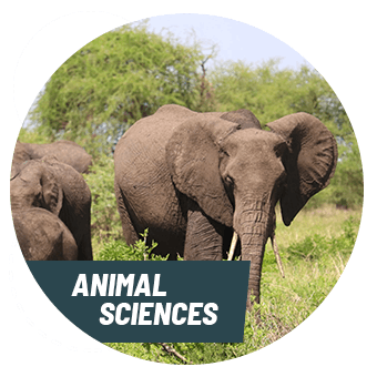 Animal Science Internships with Intern abroad HQ