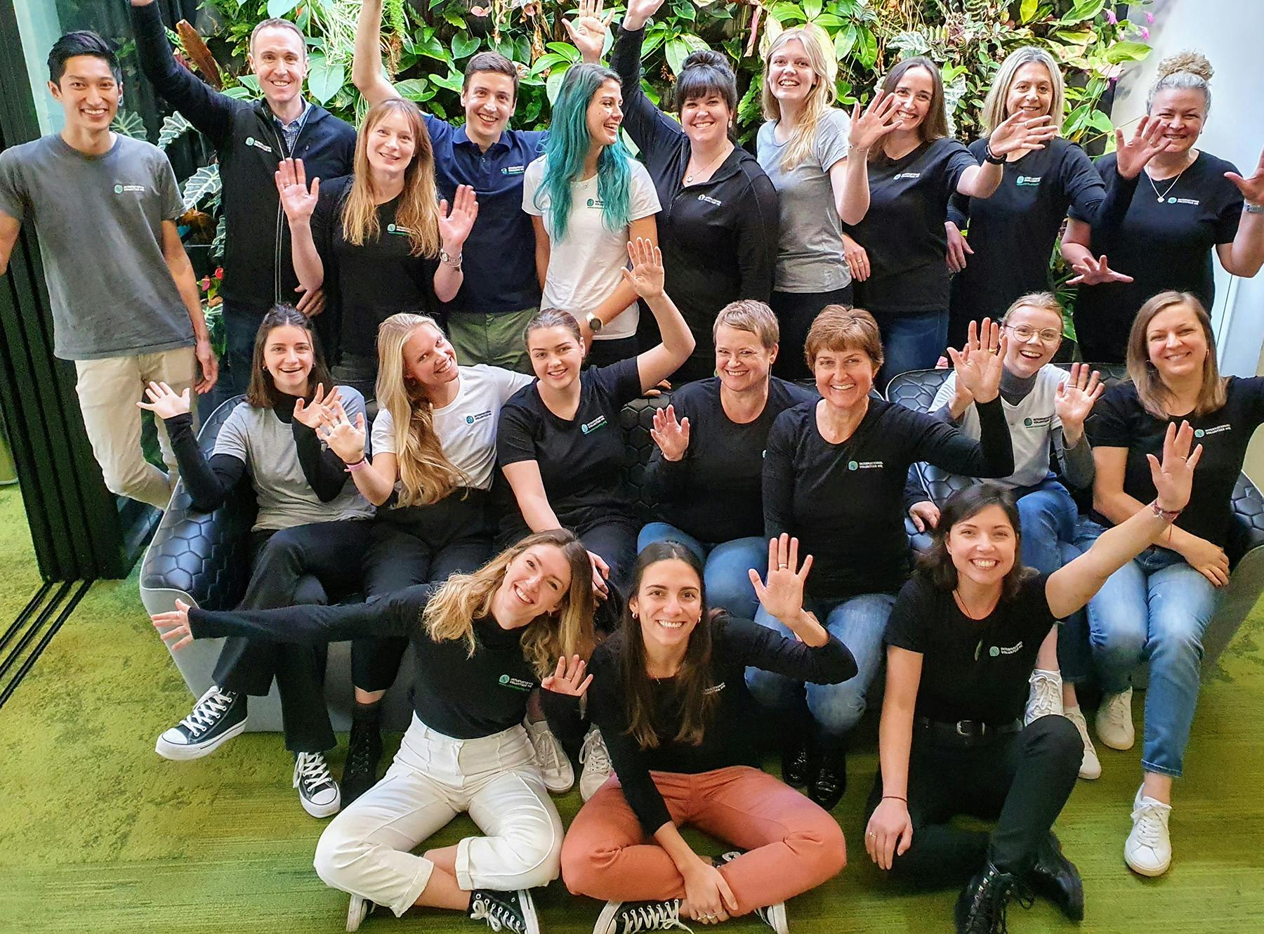 Learn about current Job Openings at IVHQ's Head Office
