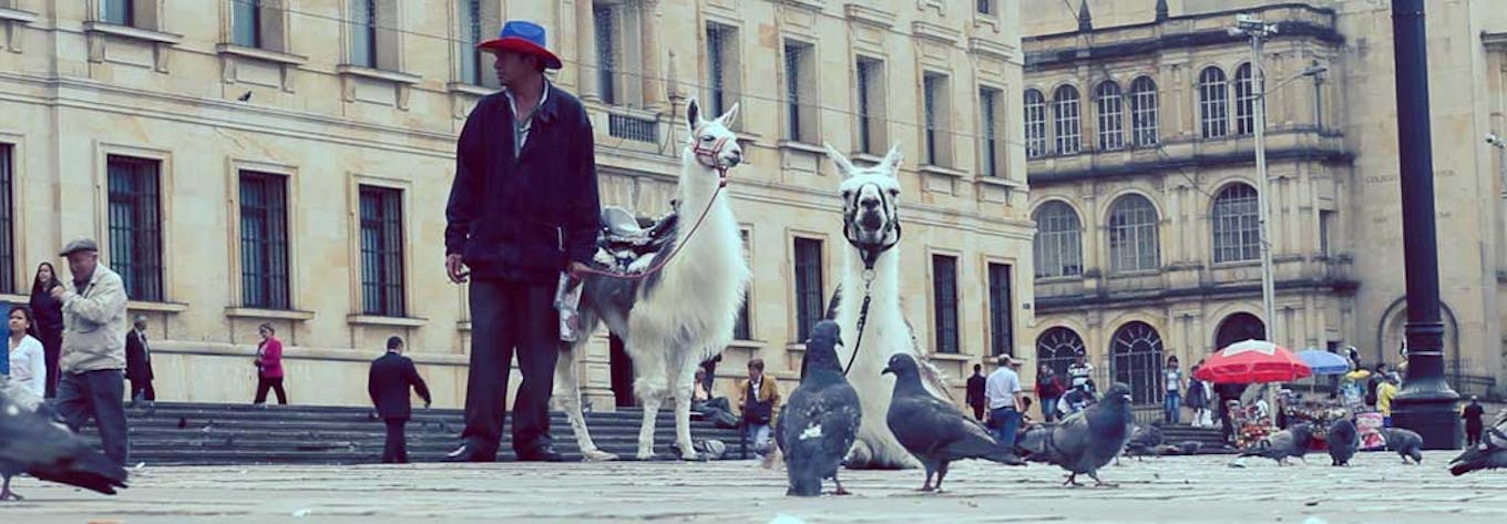 Travel and Tour Colombia with IVHQ