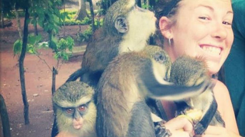 An IVHQ volunteer visiting the Tafi Atome Monkey Sanctuary during an IVHQ weekend in Ghana