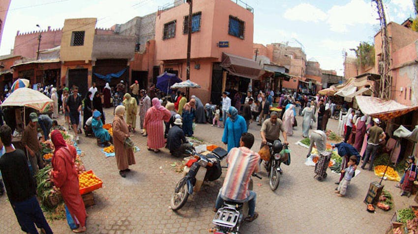 Visiting the Marrakech markets as an IVHQ volunteer