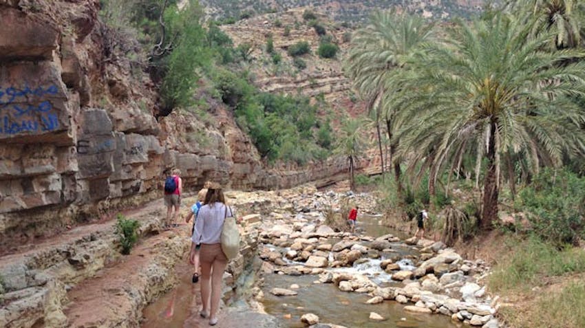 Take a walking tour through Marrakech as an IVHQ volunteer