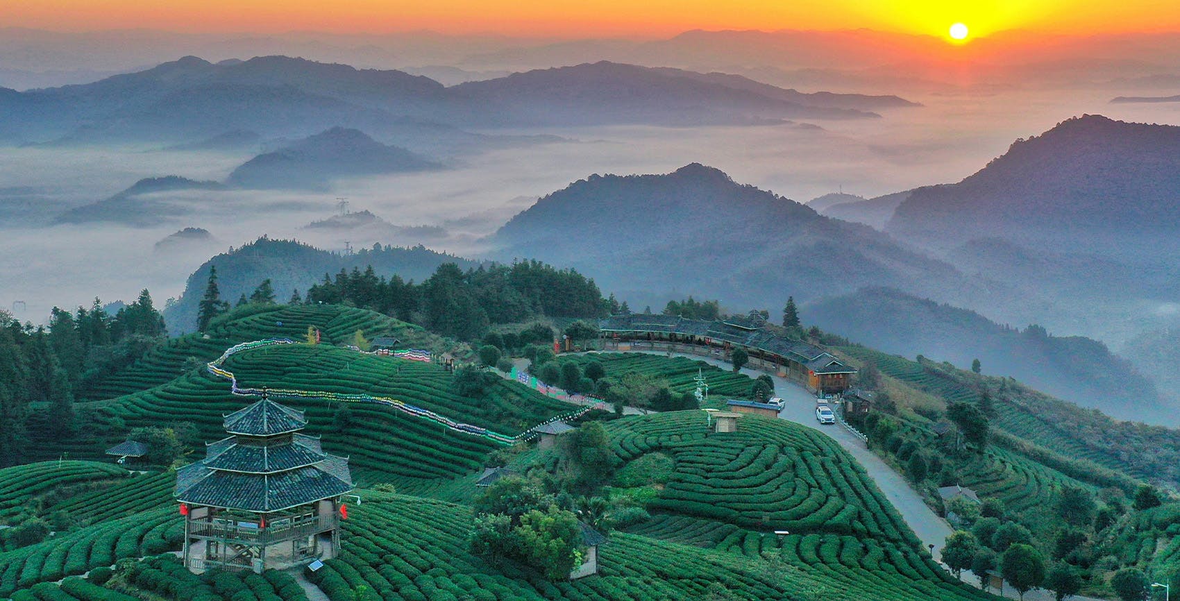 NEW Volunteer Projects in China