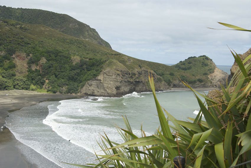 Visit Piha Beach in New Zealand with IVHQ