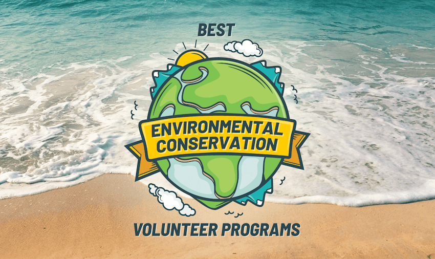 Best Environmental Conservation Programs Abroad 2024 | IVHQ