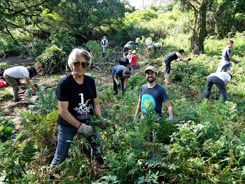 Forest Conservation volunteering in Portugal with IVHQ