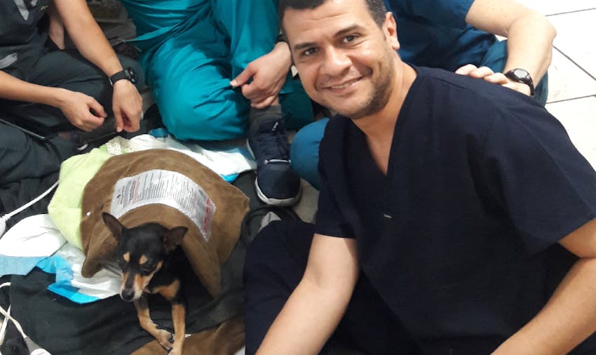 Best Summer Volunteer Abroad Programs Costa Rica