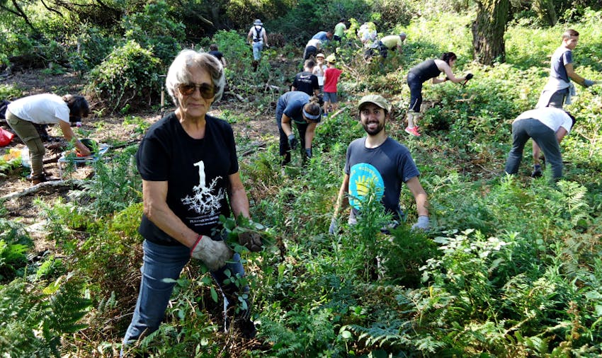 Best Summer Volunteer Abroad Programs Portugal