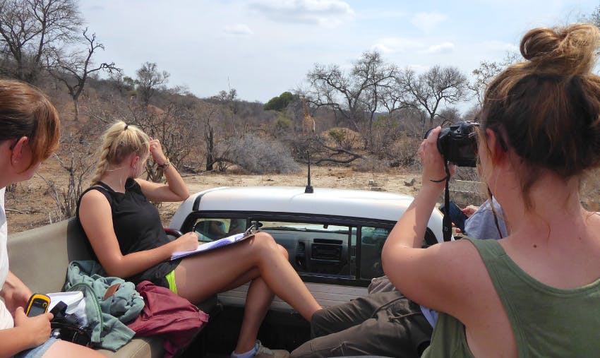 Best Summer Volunteer Abroad Programs South Africa Kruger National Park