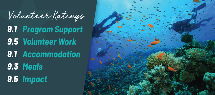23 Best Volunteer Abroad Programs 2020 2021