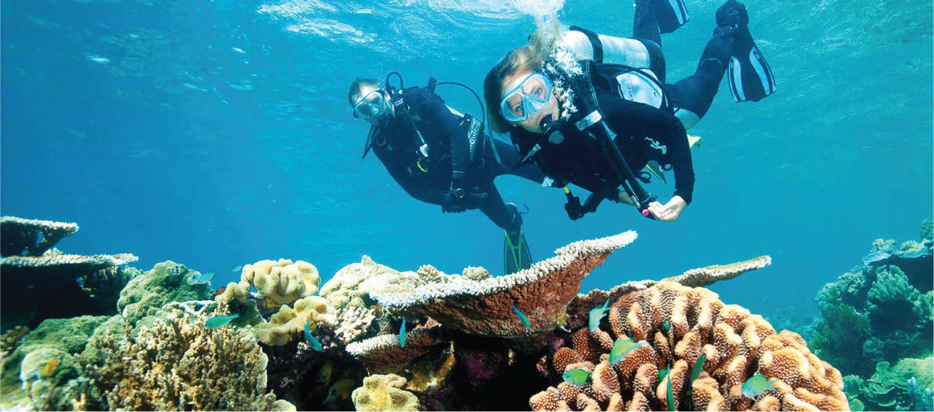 Volunteer abroad for 1 week