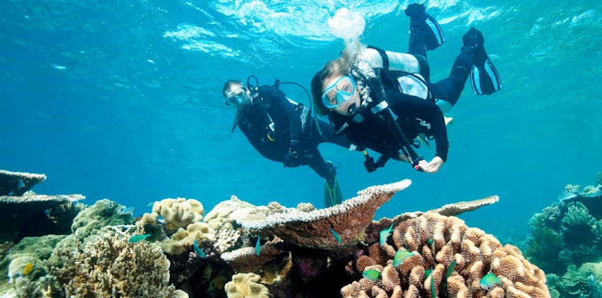 Americans can travel and volunteer abroad in Belize with IVHQ.