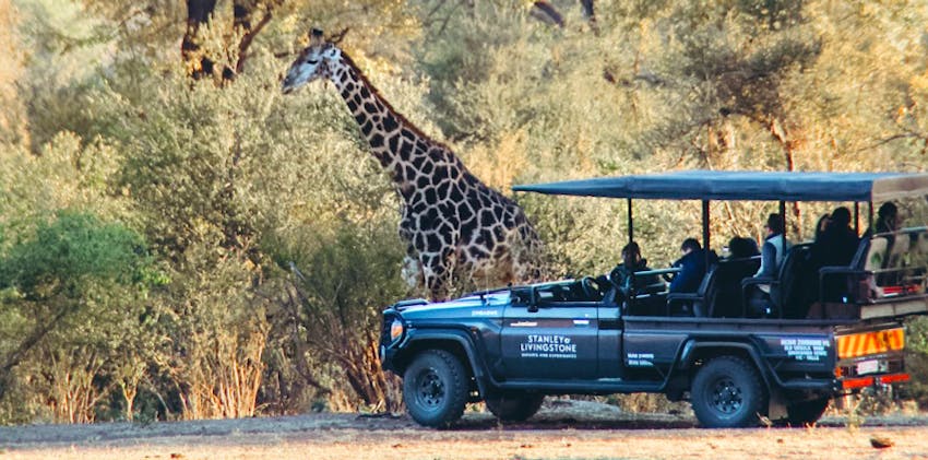 Americans can travel and volunteer abroad in Victoria Falls with IVHQ.