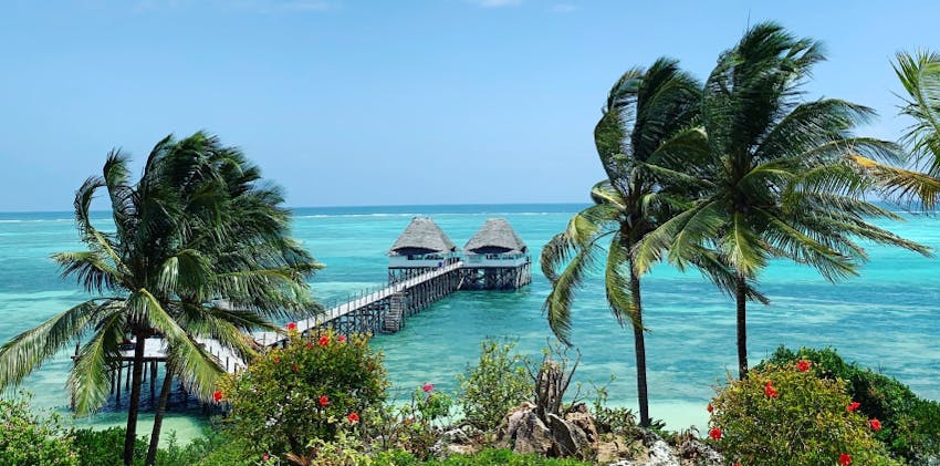 Americans can travel and volunteer abroad in Zanzibar with IVHQ.