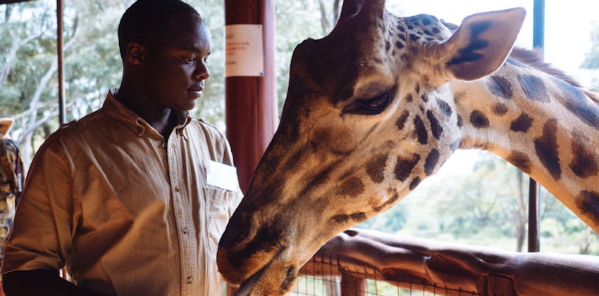 European volunteers are traveling to Kenya in Spring & Summer 2025 with IVHQ.