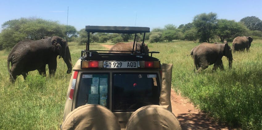 European volunteers are traveling to Tanzania in Spring & Summer 2025 with IVHQ.