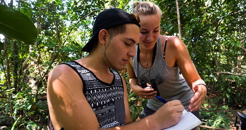 Forest Conservation volunteering in Madagascar with IVHQ