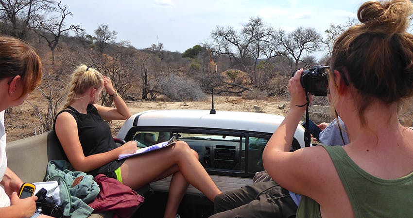 South Africa Wildlife Conservation volunteering with IVHQ in the Kruger National Park