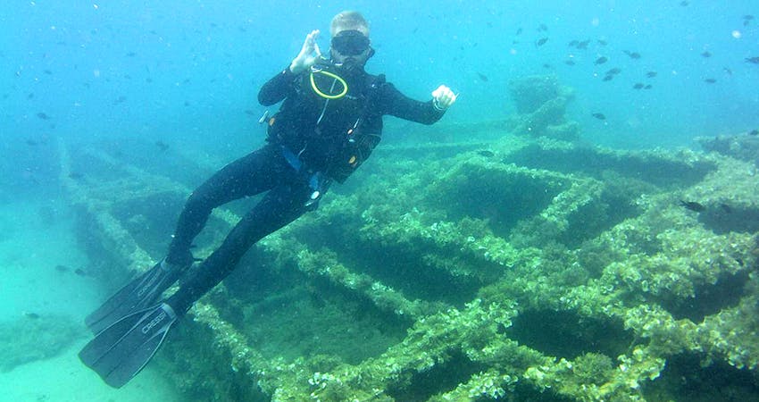 Marine conservation volunteering in Croatia with IVHQ