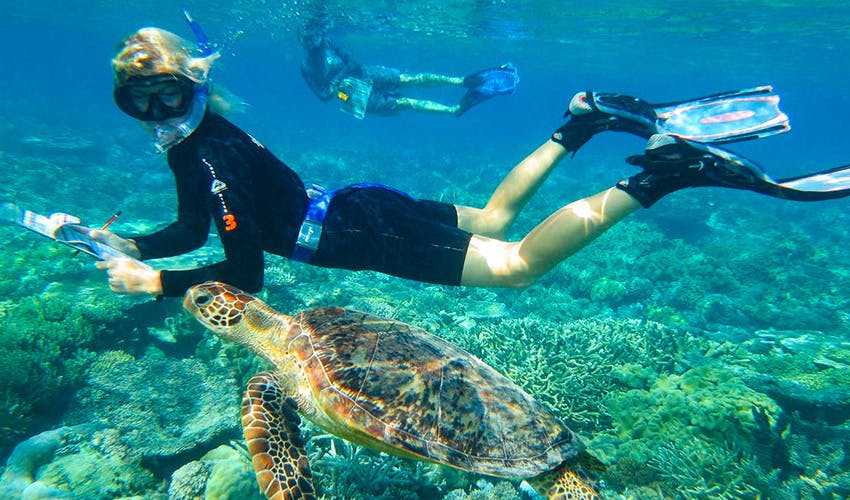 Take a winter break volunteering in Australia with IVHQ