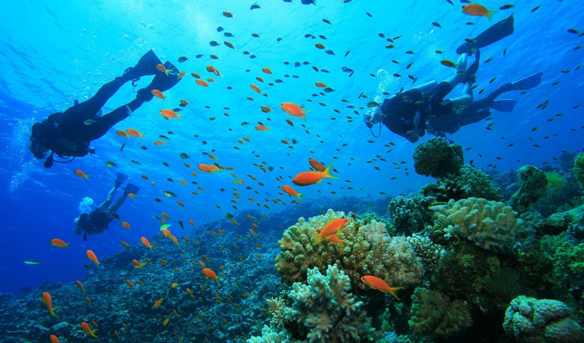 Volunteer and travel to Kenya on your winter break with IVHQ