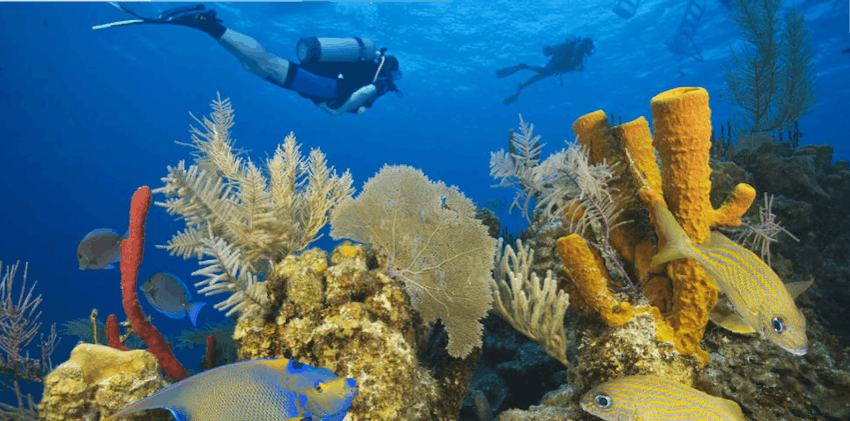 Belize Volunteer Programs Abroad Open to UK Travellers.