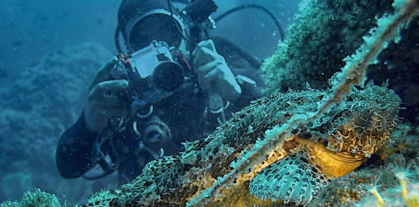 Mexico Volunteer Programs Abroad Open to UK Travellers.