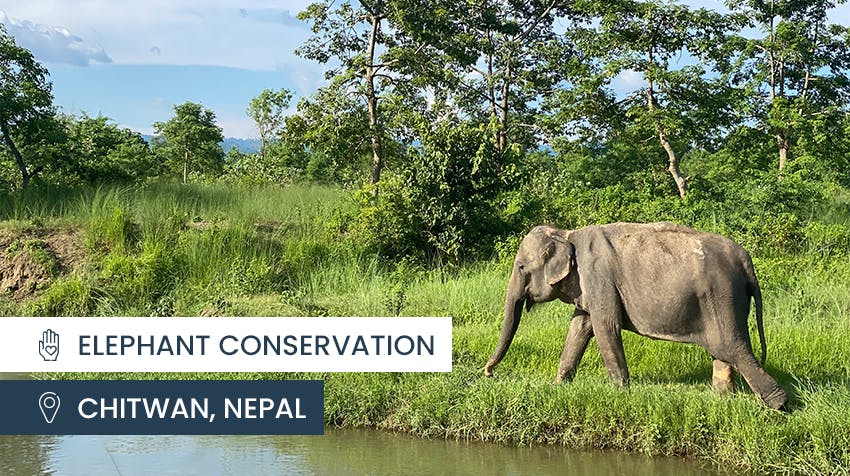 IVHQ Best hidden travel gems - Chitwan, Nepal