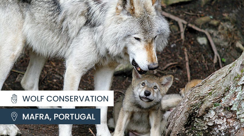 IVHQ Best hidden travel gems - Mafra, Portugal