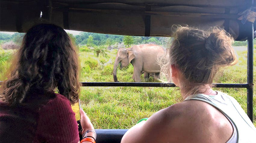 Volunteer in Sri Lanka: Pearl of the Indian Ocean with IVHQ.