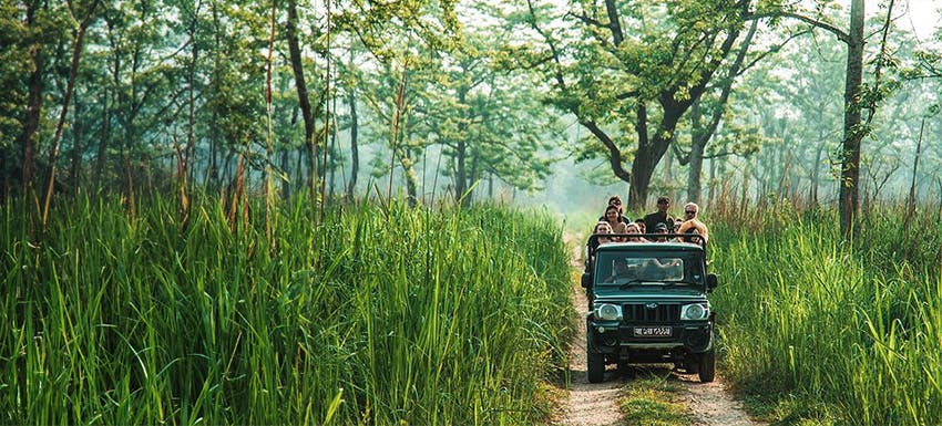 A group of volunteers exploring the natural beauty of Botswana in a safari car as part of their volunteer experience