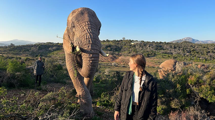 Volunteer in South Africa: A Cultural and Wildlife Extravaganza with IVHQ.