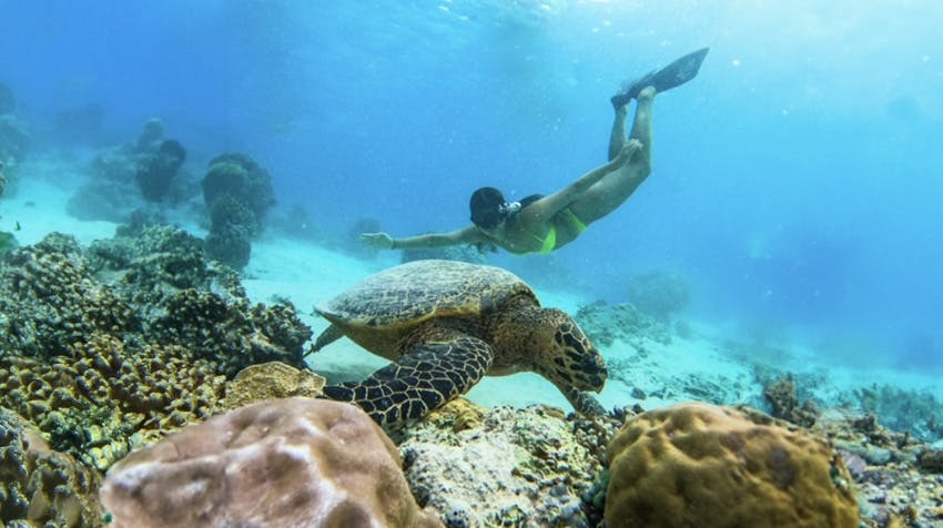 Volunteer in Lombok: Tranquil Beauty with IVHQ.