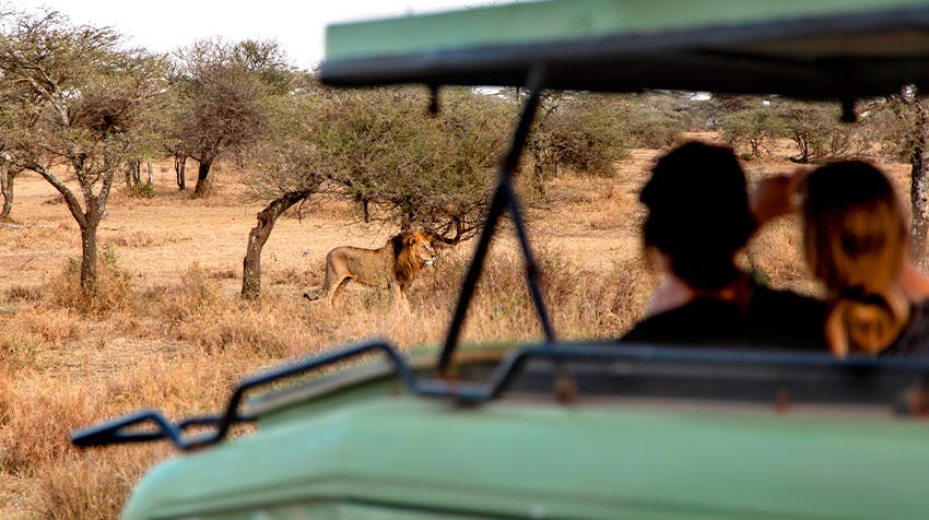 Immerse Yourself in the Natural Beauty of Botswana while volunteering with IVHQ.