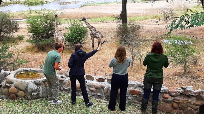 Volunteer in a Wildlife Conservation Project while in Botswana with IVHQ.