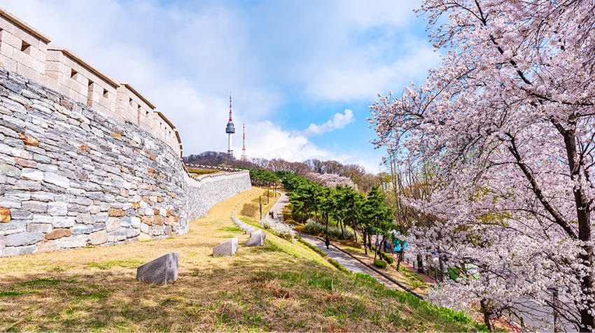 Visit N Seoul Tower while volunteering with IVHQ.