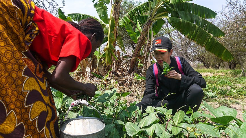 Making a Tangible Difference as an Environmental Conservation volunteer with IVHQ.