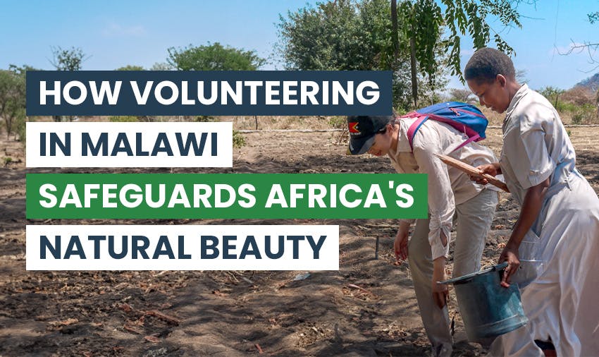 Join the Mission: Volunteer in Malawi to Preserve Africa's Natural Beauty with IVHQ.
