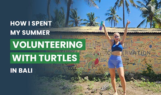 How I spent my summer volunteering with turtles in Bali with IVHQ.