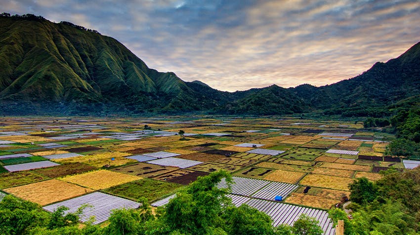 Go to Bukit Selong Rice Field Viewpoint in Lombok While Volunteering Abroad - IVHQ.