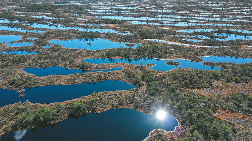 What to Expect: Exploring the Okavango Delta while volunteering in Botswana with IVHQ