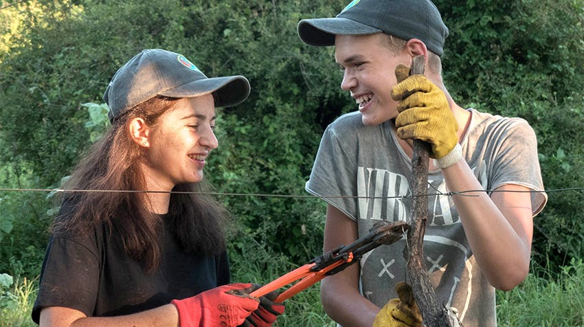 What to Expect: Overview of the Wildlife Conservation Project in Botswana while volunteering in Botswana with IVHQ