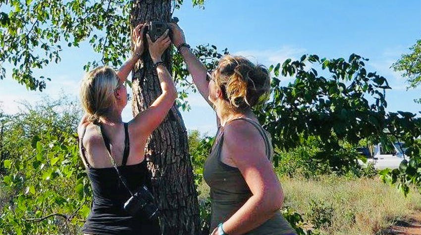 What to Expect: Expected Project Tasks for Volunteers in Botswana with IVHQ