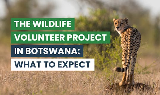 Make the Most out of Your Summer Vacation - IVHQ.