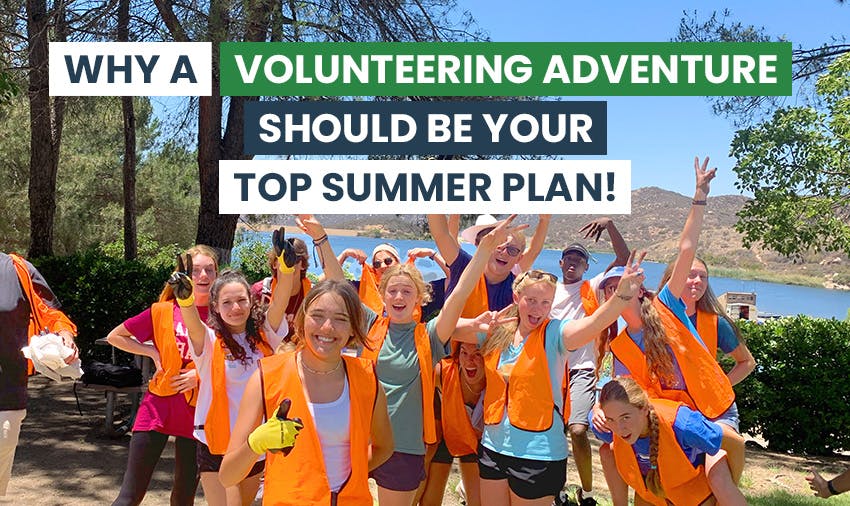 Why Volunteering Abroad with IVHQ Should Be Your Top Summer Plan.