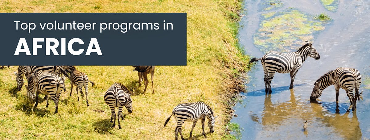 Volunteer Trips Abroad For Solo Travelers in Africa with IVHQ.